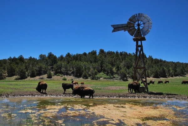 D9%2520-%2520test-81