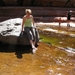 Sliding Rocks