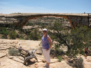 Natural Bridges