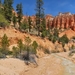 Panorama Mossy Cave trail