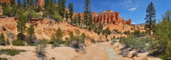 Panorama Mossy Cave trail