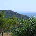 DSCF7737