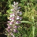DSCF7749