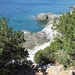 DSCF7806