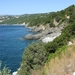 DSCF7809