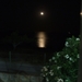 DSCF7828