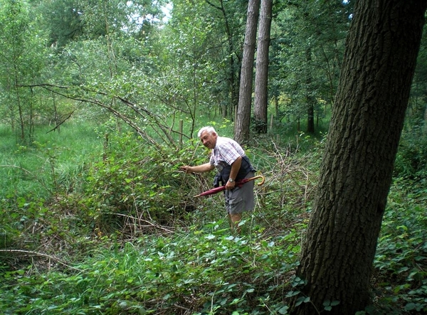 Dik maar bijna nie te vangen