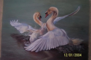 15-05-2011 022 (Small)