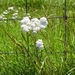 Schouwen -Duiveland 018