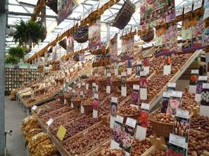 A'dam _drijvende bloemenmarkt, _P1130473