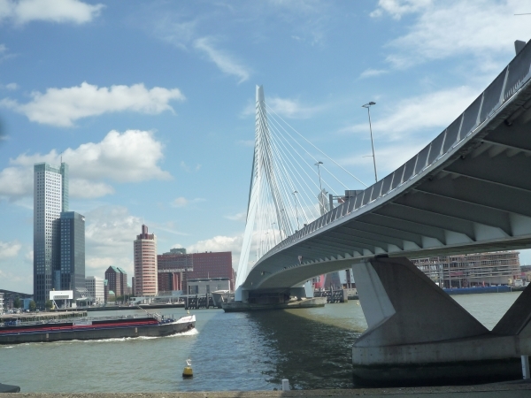 R'dam  _Erasmusbrug met Kop van Zuid  _P1110664