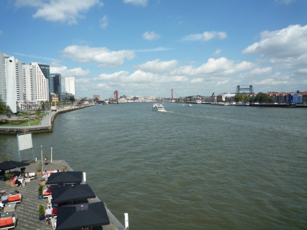 R'dam  _Erasmusbrug, Maaszicht  _P1110656