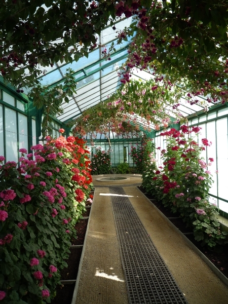 Brussel _Laken _Koninklijke serres _P1100099