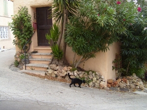 frankrijk-La Garde-Freinet  ( 2008) 004