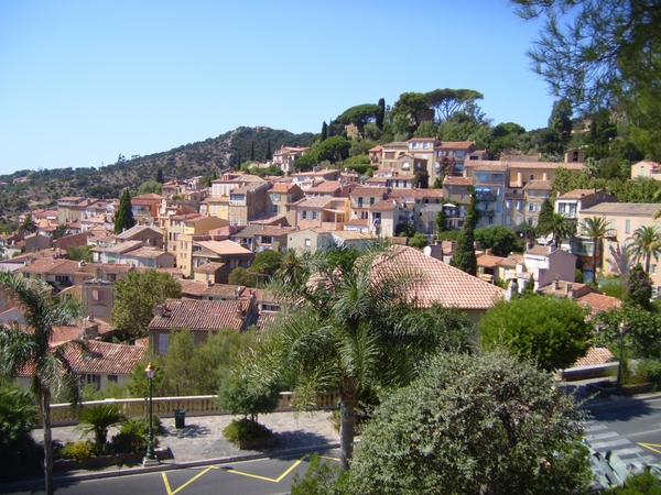 frankrijk-La Garde-Freinet  ( 2008) 013