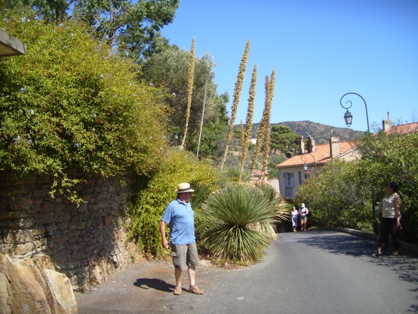 frankrijk-La Garde-Freinet  ( 2008) 014