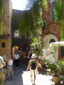 frankrijk-La Garde-Freinet  ( 2008) 018