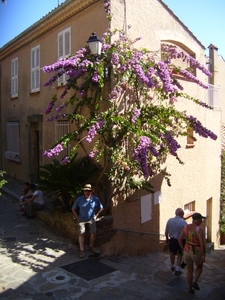 frankrijk-La Garde-Freinet  ( 2008) 021