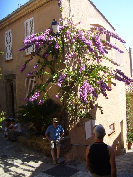 frankrijk-La Garde-Freinet  ( 2008) 022