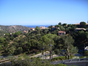 frankrijk-La Garde-Freinet  ( 2008) 025