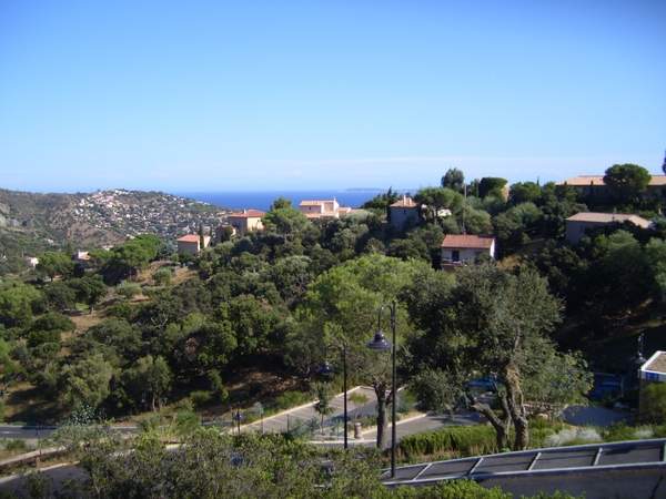 frankrijk-La Garde-Freinet  ( 2008) 025