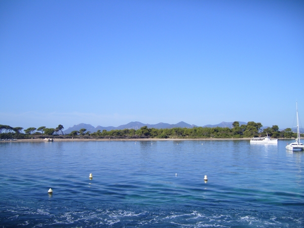 frankrijk-La Garde-Freinet  ( 2008) 035