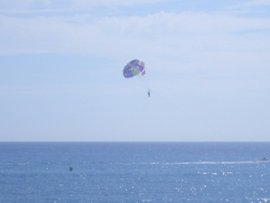 frankrijk-La Garde-Freinet  ( 2008) 047