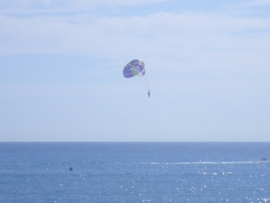 frankrijk-La Garde-Freinet  ( 2008) 047