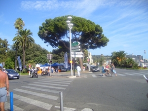 frankrijk-La Garde-Freinet  ( 2008) 055