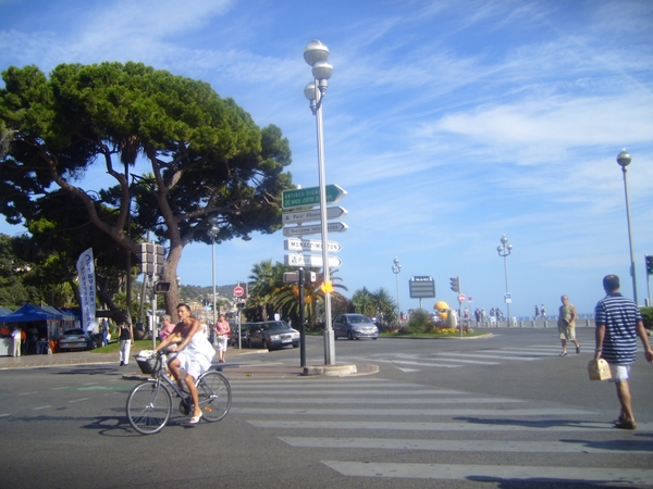 frankrijk-La Garde-Freinet  ( 2008) 056