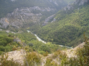 frankrijk-La Garde-Freinet  ( 2008) 111