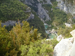 frankrijk-La Garde-Freinet  ( 2008) 118