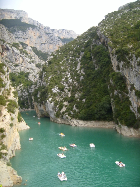 frankrijk-La Garde-Freinet  ( 2008) 138