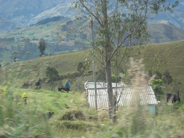 ecuador 152