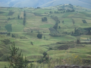 ecuador 156