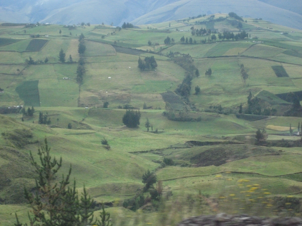 ecuador 156