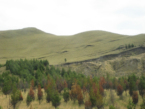 ecuador 163