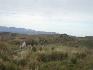 ecuador 165