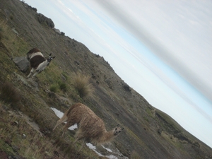 ecuador 166