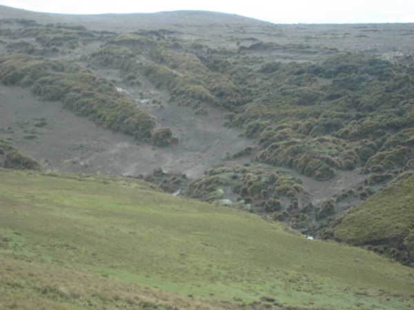 ecuador 167