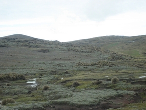 ecuador 168