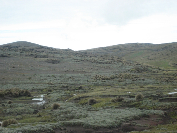 ecuador 168