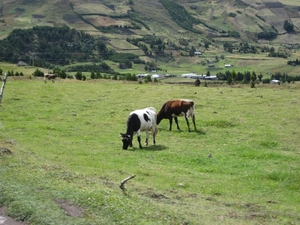 ecuador 258