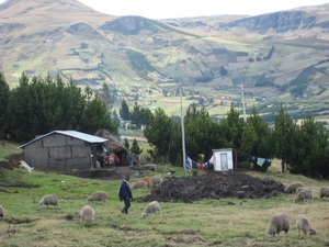 ecuador 275
