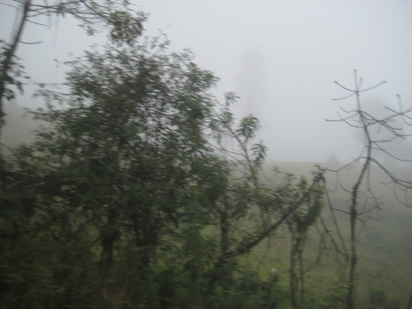 ecuador 339