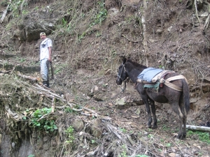 ecuador 355