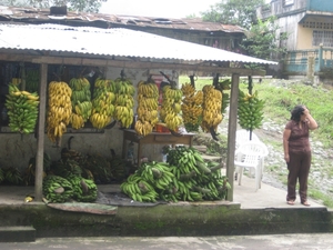 ecuador 356