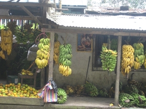ecuador 357