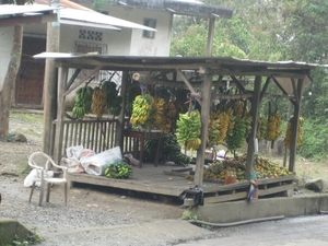 ecuador 358