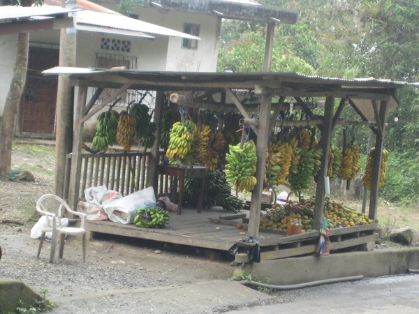 ecuador 358